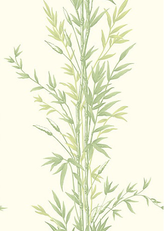Bamboo wallpaper 100 / 5023 Green
