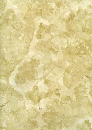 Carrera Gold 310866 wallpaper Town & Country collection Zoffany