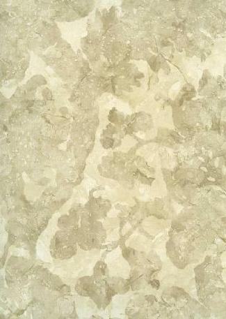 Carrera Stone 310865 wallpaper Town & Country collection Zoffany