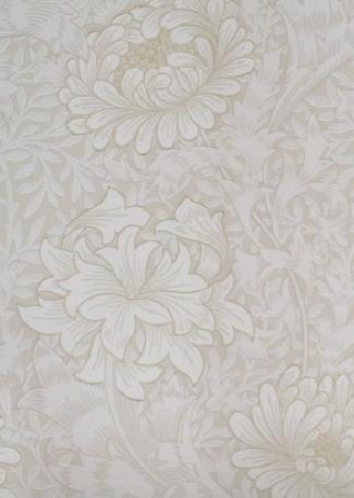 Chrysanthemum 212546 Chalk wallpaper
