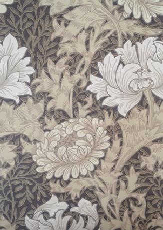 Chrysanthemum 212547 Bullrush wallpaper