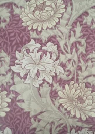 Chrysanthemum 212548 Wine wallpaper.