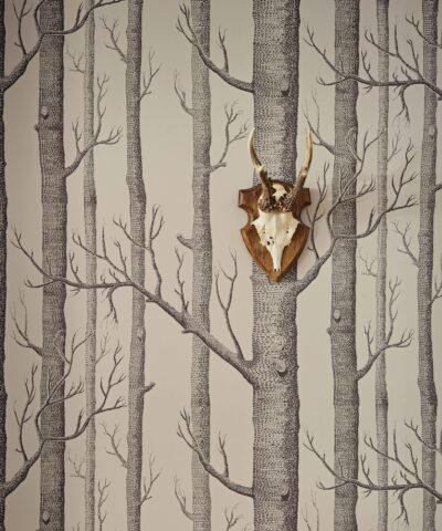 Woods 112-3009 wallpaper icons Cole and Son