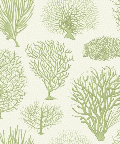 Seafern 107/2008 wallpaper