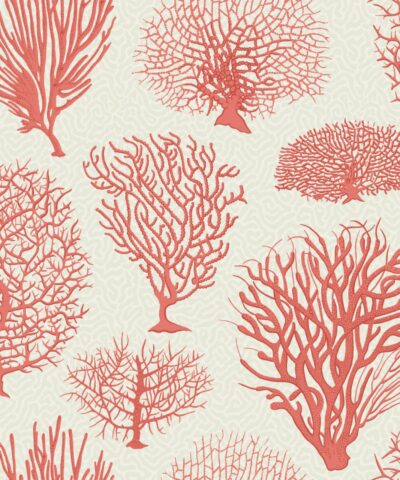 Seafern 107/2011 wallpaper