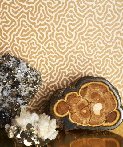 Vermicelli Gallery shot 107/4018 wallpaper