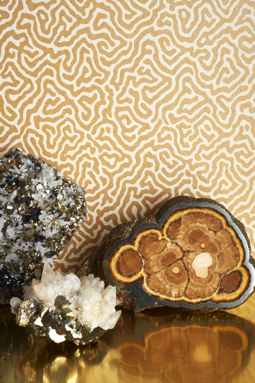 Vermicelli Gallery shot 107/4018 wallpaper