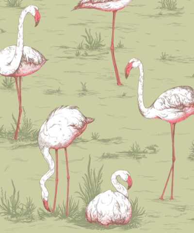 Flamingos 112-11037 wallpaper Icons Cole & Son