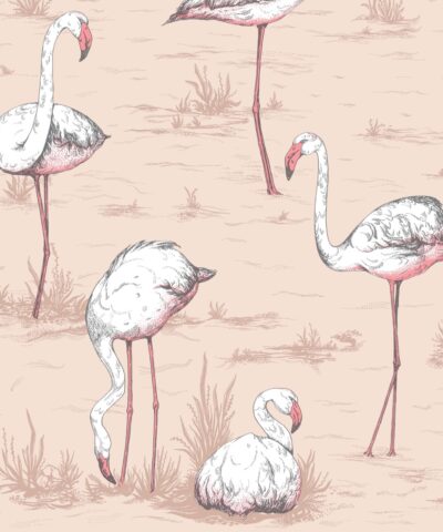 Flamingos 112-11039 wallpaper Icons Cole & So