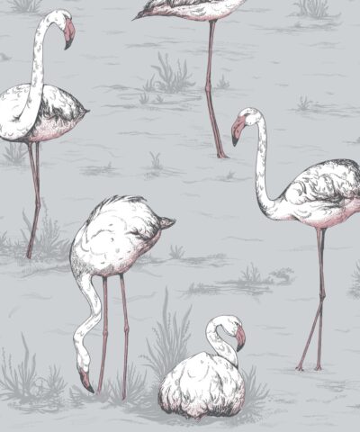 Flamingos 112-11040 wallpaper Icons Cole & SOn