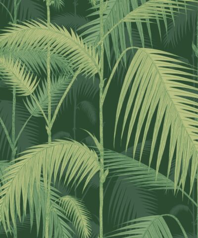 Palm Jungle 112-1003 wallpaper Icons Cole and Son