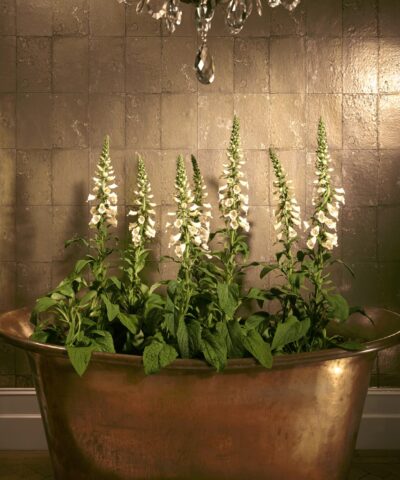 Antique Mirror 92-2010 wallpaper Mariinksy Cole and Son