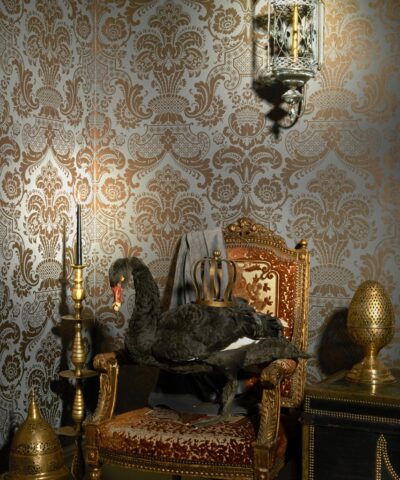 Carmen 108-2010 wallpaper gallery Mariinksy Cole and Son