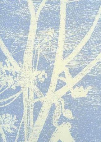 Cow Parsley 66 / 7050