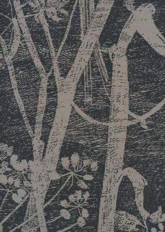 Cow Parsley 66 / 7048