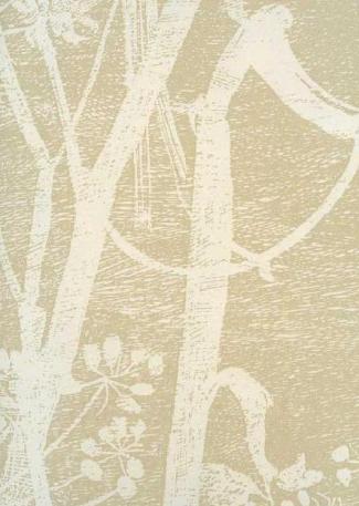 Cow Parsley 66 / 7049