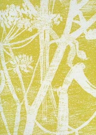 Cow Parsley 66 / 7051