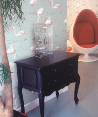 Flamingos Gallery - 66 / 6042