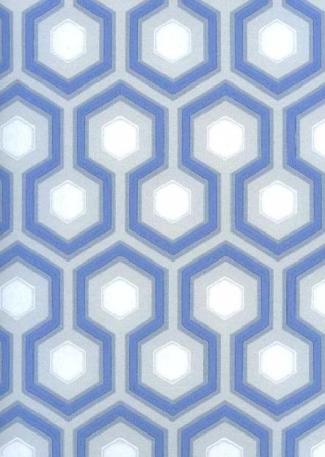 Hicks' Hexagon 66 / 8054