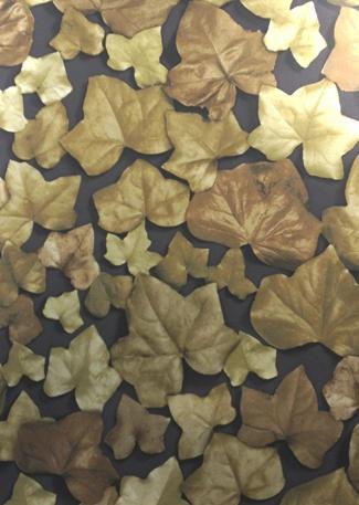 Ivy Leaf 310981 wallpaper