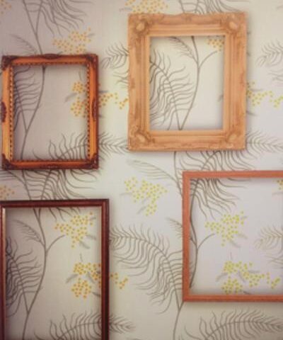 Mimosa Gallery - 69 / 8132