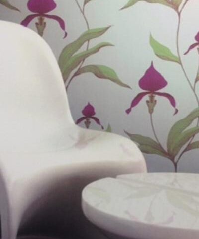 Orchid Gallery - 66 / 4027