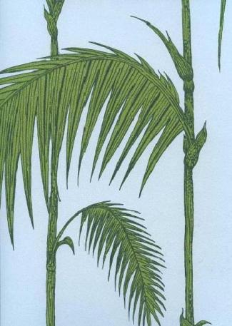 Palm Leaves 66 / 2010