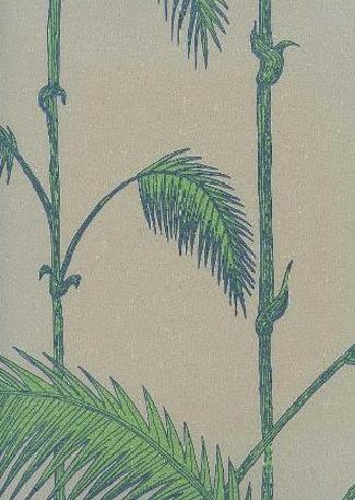 Palm Leaves 66 / 2011