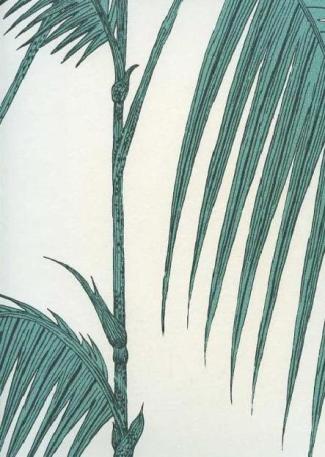 Palm Leaves 66 / 2012