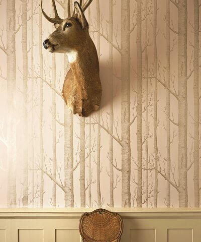 Woods wallpaper 103 / 5024 Gallery