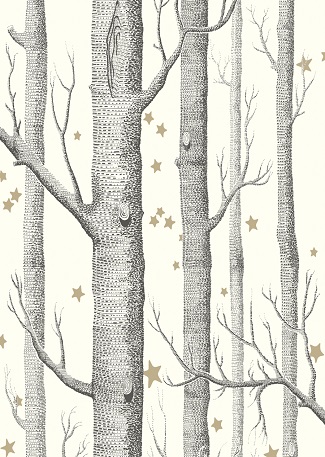 Woods & Stars wallpaper 103 / 11050