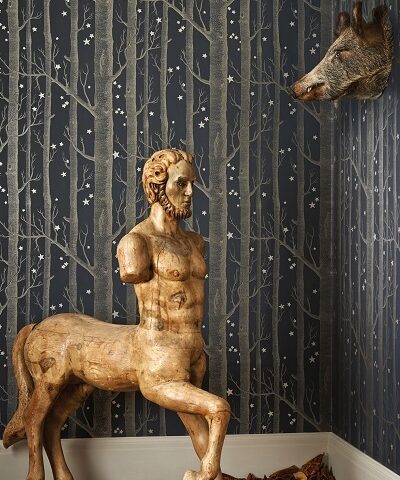 Woods & Stars wallpaper 103 / 11053 Gallery