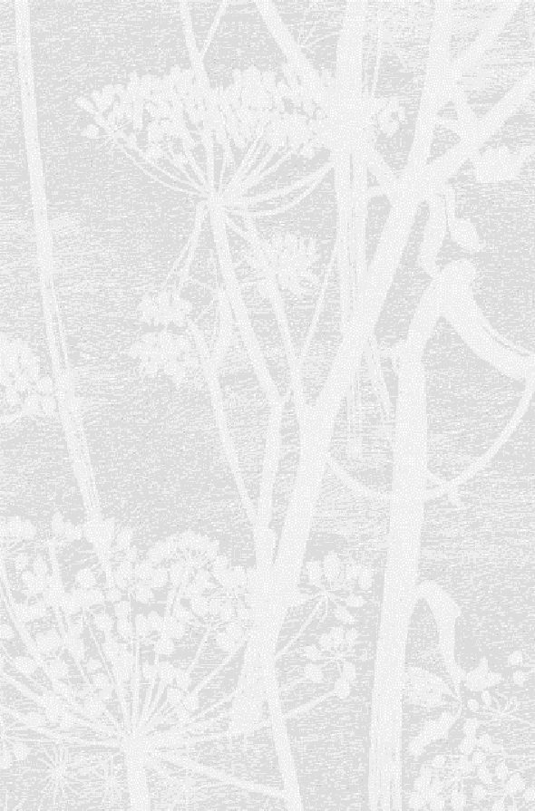 Cow Parsley 112-8027 wallpaper Icons Cole & Son