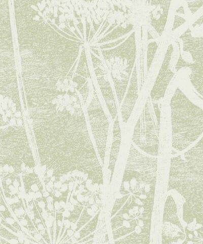 Cow Parsley 112-8029 wallpaper Icons Cole & Son