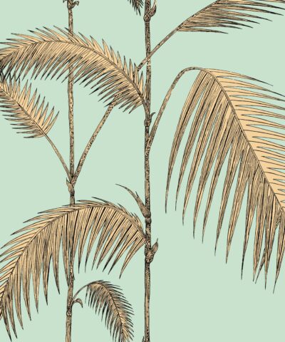 Palm Leaves 112-2006 wallpaper Icons Cole and son