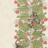 109-11051 Acacia- The Ardmore Collection- Cole & Son – 72dpi – RGB