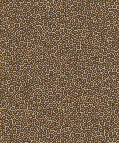 Senzo-Spot-The-Ardmore-Collection-Cole-Son