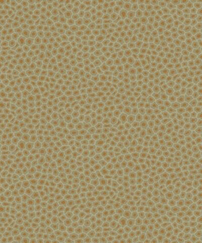 Senzo Spot 109-6029 wallpaper -Ardmore