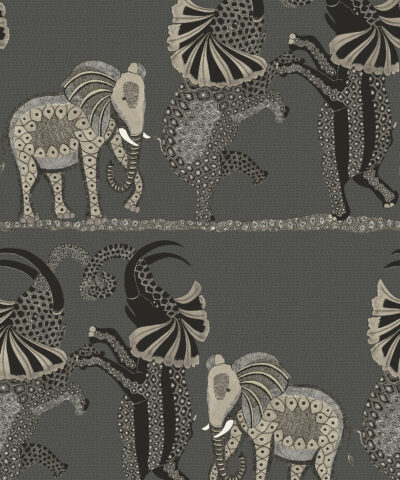 Safari Dance 109-8039 wallpaper