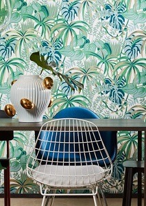 Jungle-Jive-36511-590x882