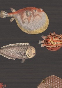 Acquario 97.10048 wallpaper Fornasetti II collection Cole & Son