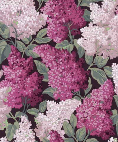 Lilac Grandiflora 115-15045 wallpaper Botanical Cole & Son