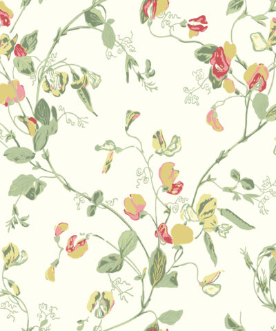 Sweet Pea 100-6027 wallpaper Botanical Cole & Son