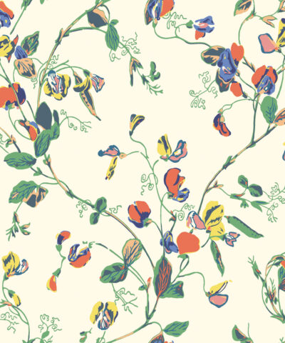 Sweet Pea 115-11032 wallpaper Botanical Cole & Son