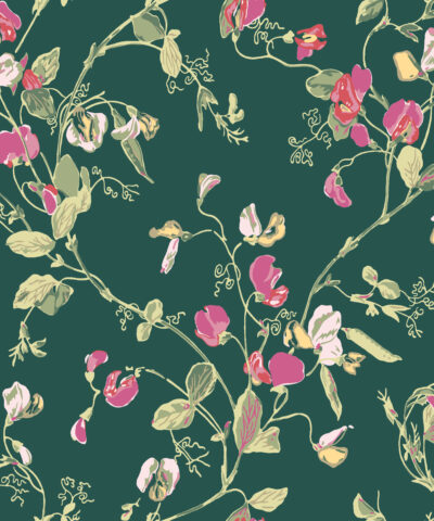 Sweet pea 115-11033 wallpaper Botanical Cole & Son
