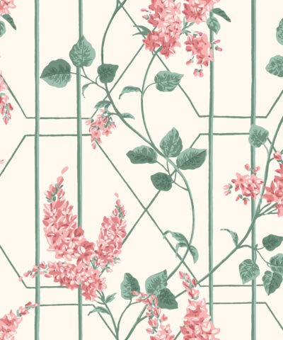 Wisteria 115-5012 wallpaper Botanical Cole & Son