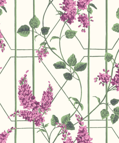 Wisteria 115-5013 wallpaper Botanical Cole & Son