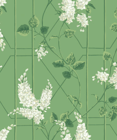 Wisteria 115-5016 wallpaper Botanical Cole & Son