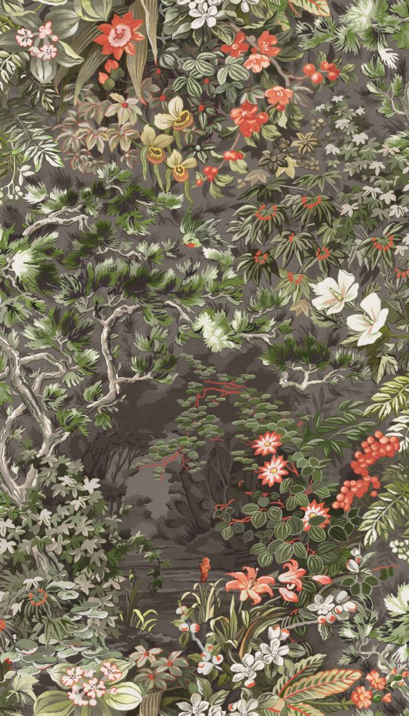 Woodland 115-4011 wallpaper Botanical Cole & Son