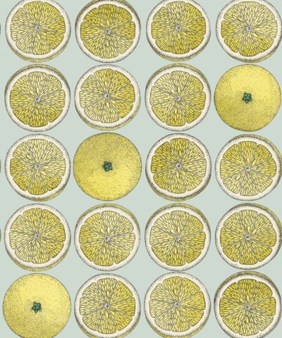 Aramce Fornasetti Sensz Tempo 114-24047 wallpaper Cole & Son Living Interiors.online